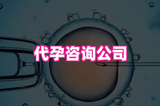 杭州助孕网 1