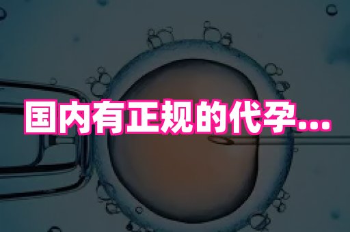 杭州助孕网 1