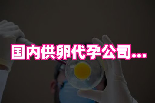 杭州助孕网 2
