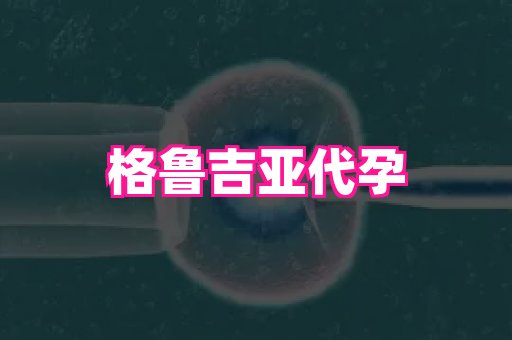 杭州助孕网 4